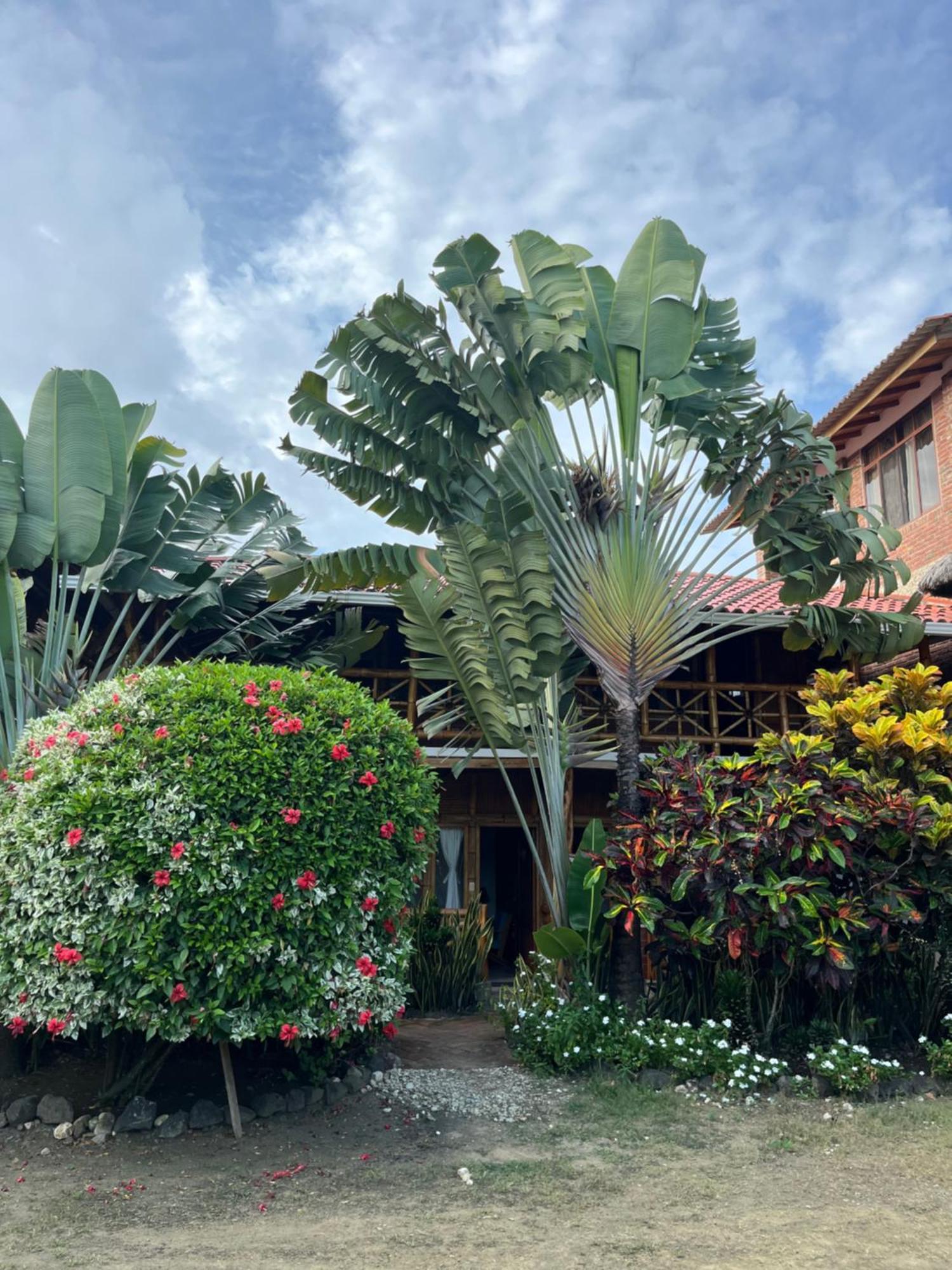 Victor Hugo Hotel Puerto López Dış mekan fotoğraf